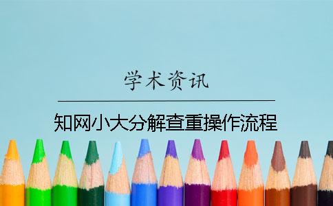 知网小大分解查重操作流程