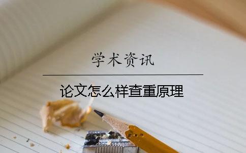 论文怎么样查重原理