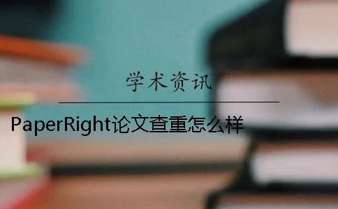 PaperRight论文查重怎么样