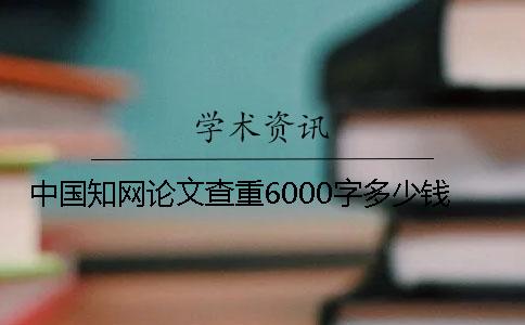 中国知网论文查重6000字多少钱