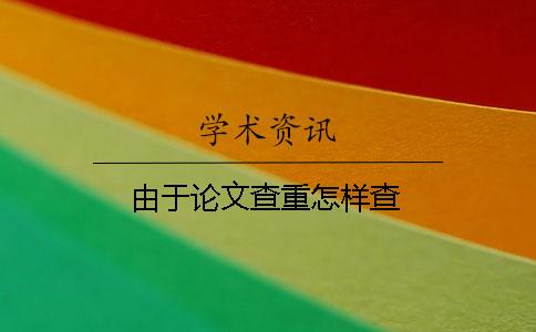 由于论文查重怎样查