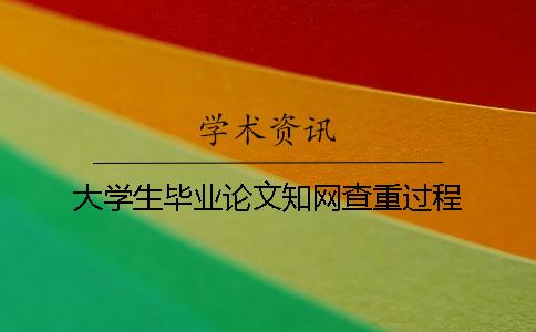大学生毕业论文知网查重过程