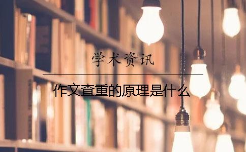 作文查重的原理是什么
