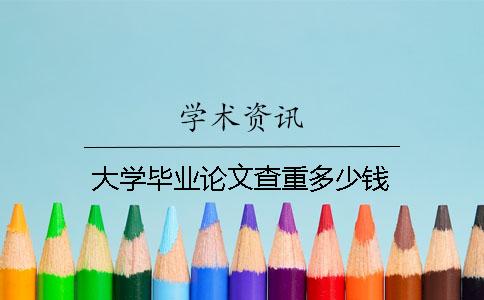 大学毕业论文查重多少钱