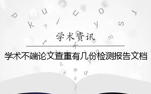 学术不端论文查重有几份检测报告文档？