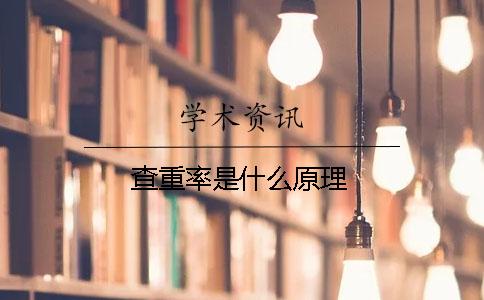 查重率是什么原理