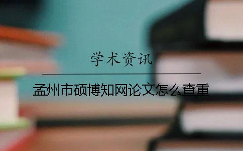孟州市硕博知网论文怎么查重