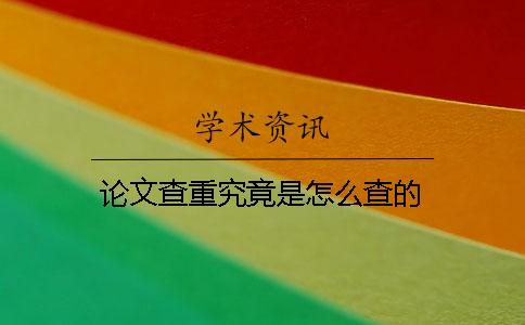 论文查重究竟是怎么查的？
