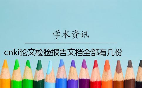 cnki论文检验报告文档全部有几份？